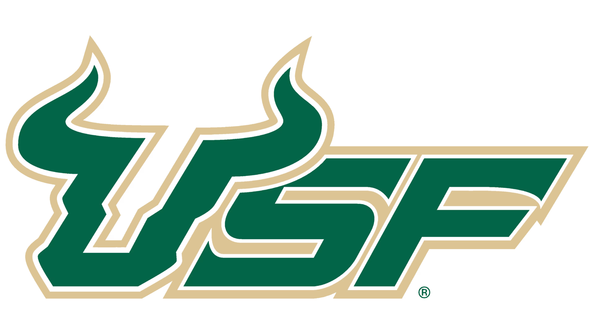 University of South Florida